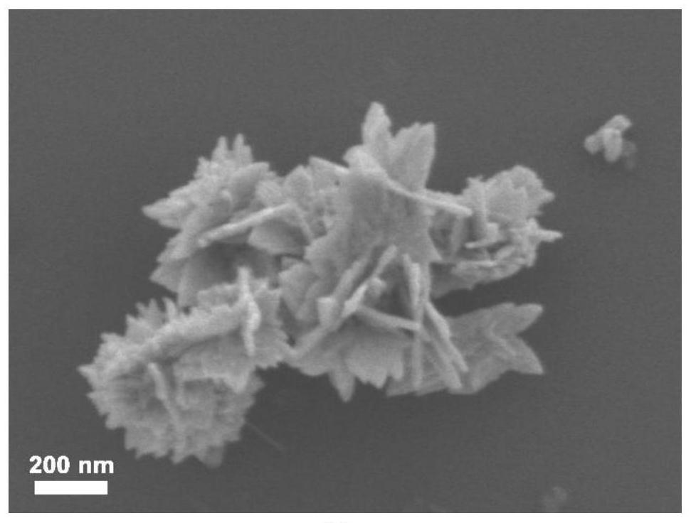 An olive structure and preparation method for detecting formaldehyde