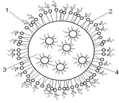 Preparation method of multiplex-mode iodized oil nano-emulsion contrast medium