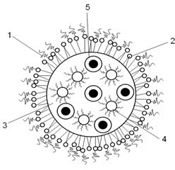 Preparation method of multiplex-mode iodized oil nano-emulsion contrast medium