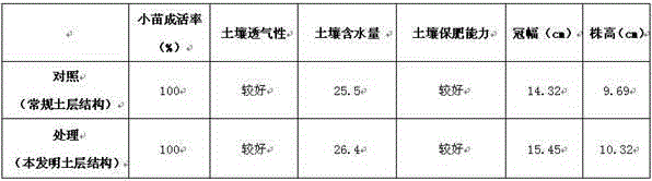 Flower-fruit pot soil structure and preparation method thereof