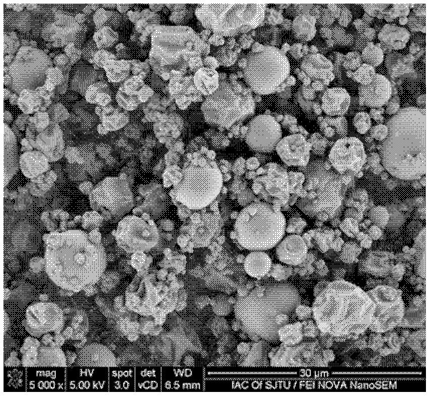 Sprouted soy peptide crude extract microcapsule powder and preparation method thereof