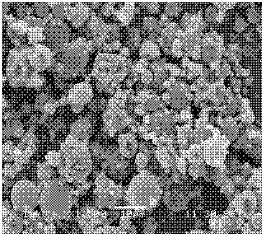 Sprouted soy peptide crude extract microcapsule powder and preparation method thereof