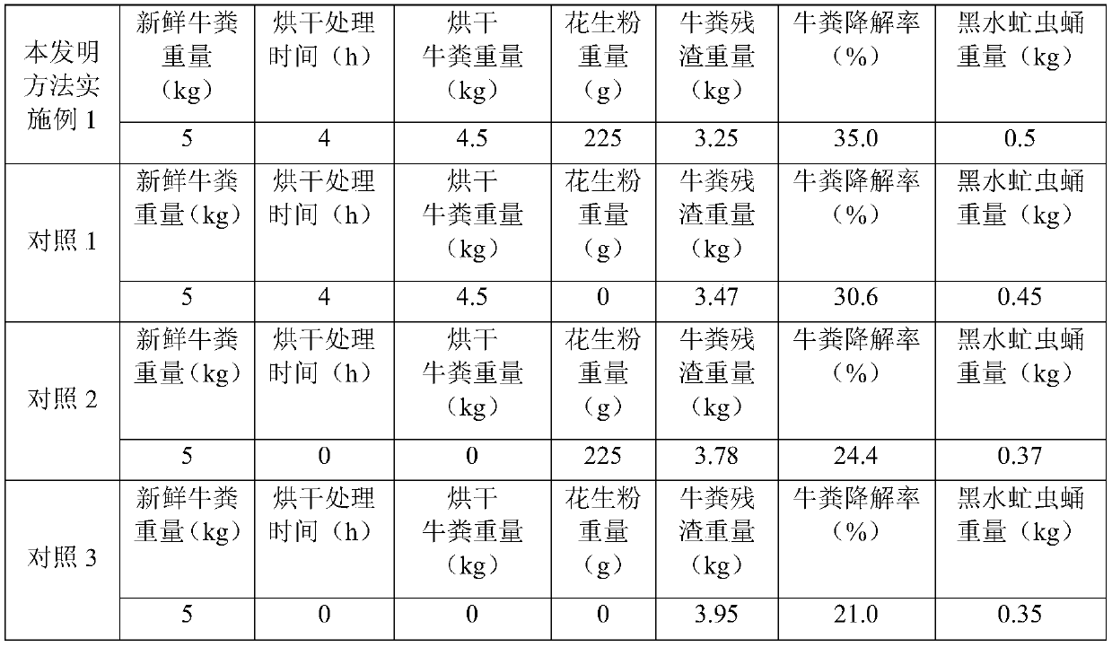 Method for improving treatment efficiency of hermetia illucens on cow dung by using peanut powder