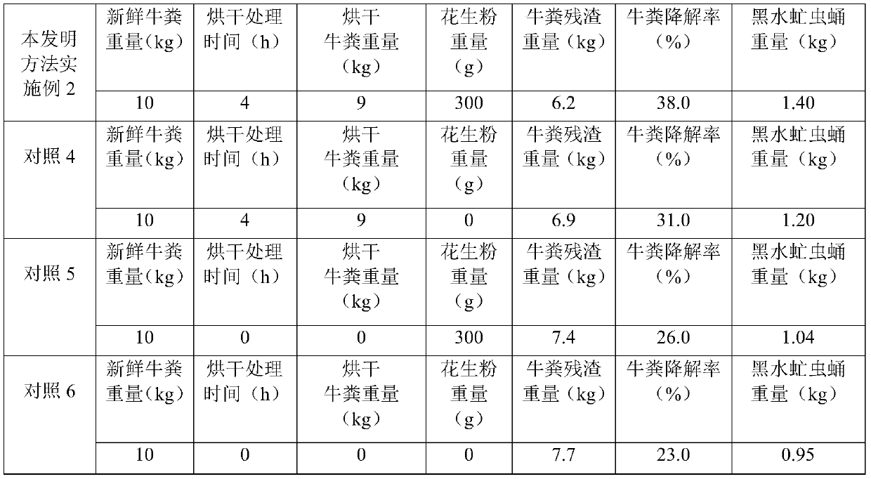 Method for improving treatment efficiency of hermetia illucens on cow dung by using peanut powder