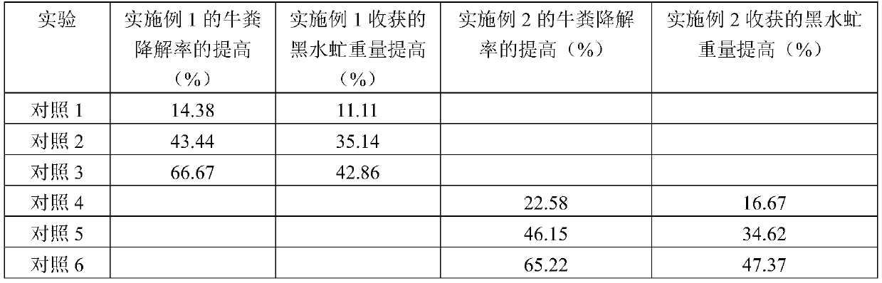 Method for improving treatment efficiency of hermetia illucens on cow dung by using peanut powder