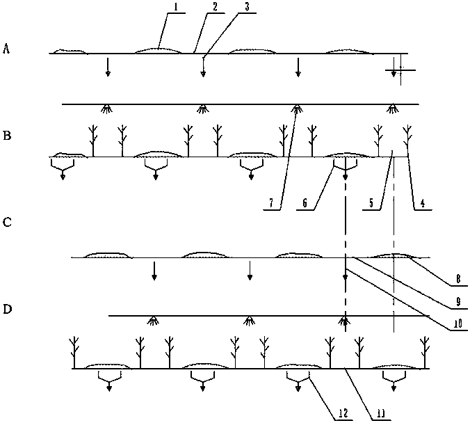 Total collecting and covering no-tillage operation method for corn straw