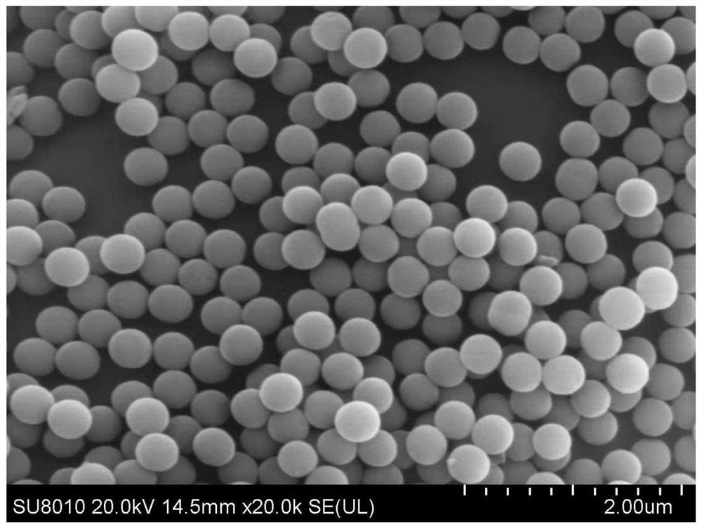 Basalt fiber/polypropylene composite material based on surface roughening and interface enhancement and preparation method of basalt fiber/polypropylene composite material