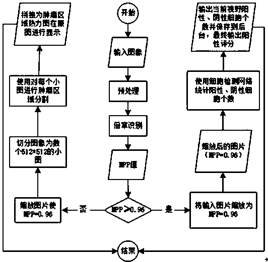 Pathological section interpretation method and system