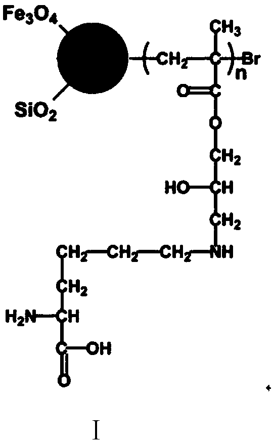 High-selectivity magnetic dye adsorbent and preparation method thereof