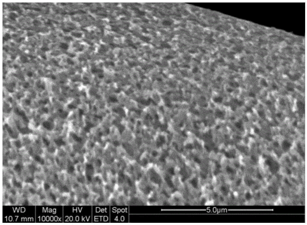 Preparation method of cellulose and chitosan hybrid fiber