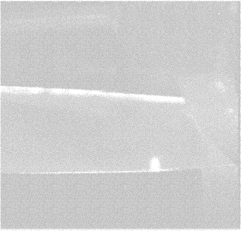 Three-dimensional reconstruction method for internal defect of alloy firmware