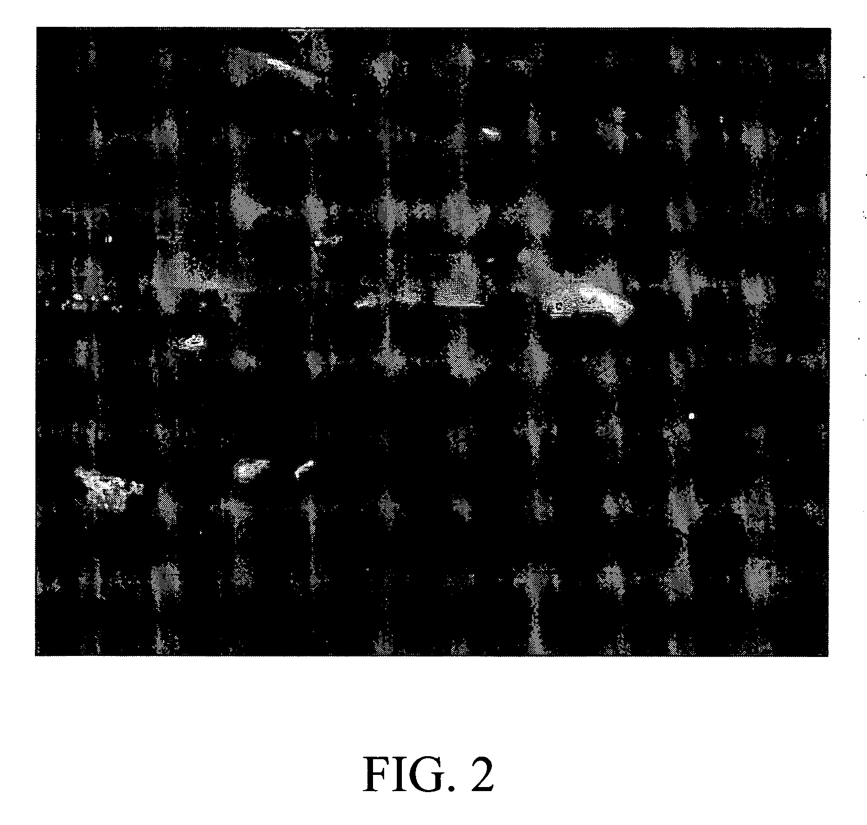 Methods of sampling microbial communities and apparatus therefore