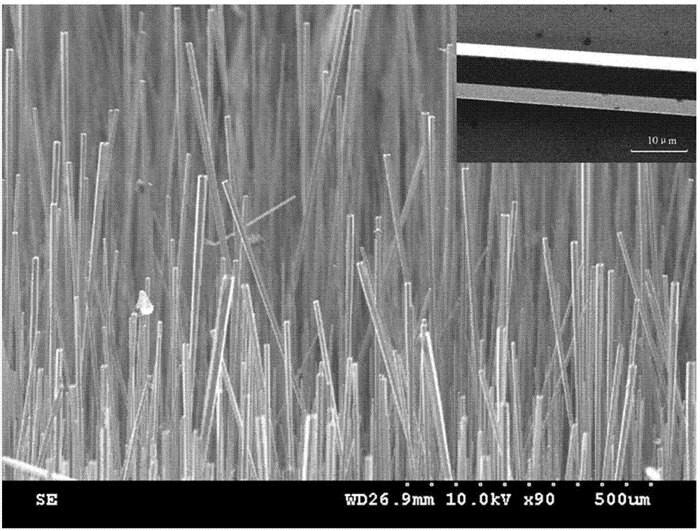 Preparation method of WGM (whispering gallery mode) ZnO ultraviolet micro-laser for constructing electric pump