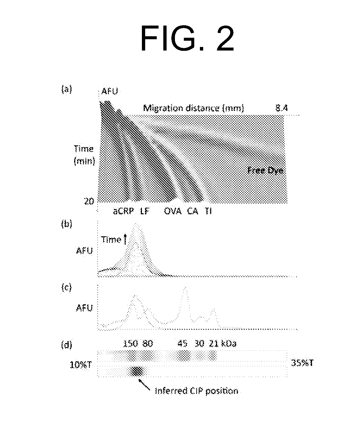 Pore-Limit Electrophoresis (PLE) Microchannel Assays