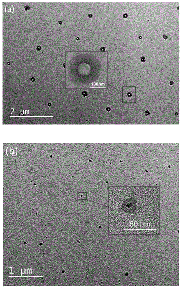 Fluorine-containing high-dielectricity polynorbornene-poly(1,6-heptadiyne) block copolymer and preparation method thereof