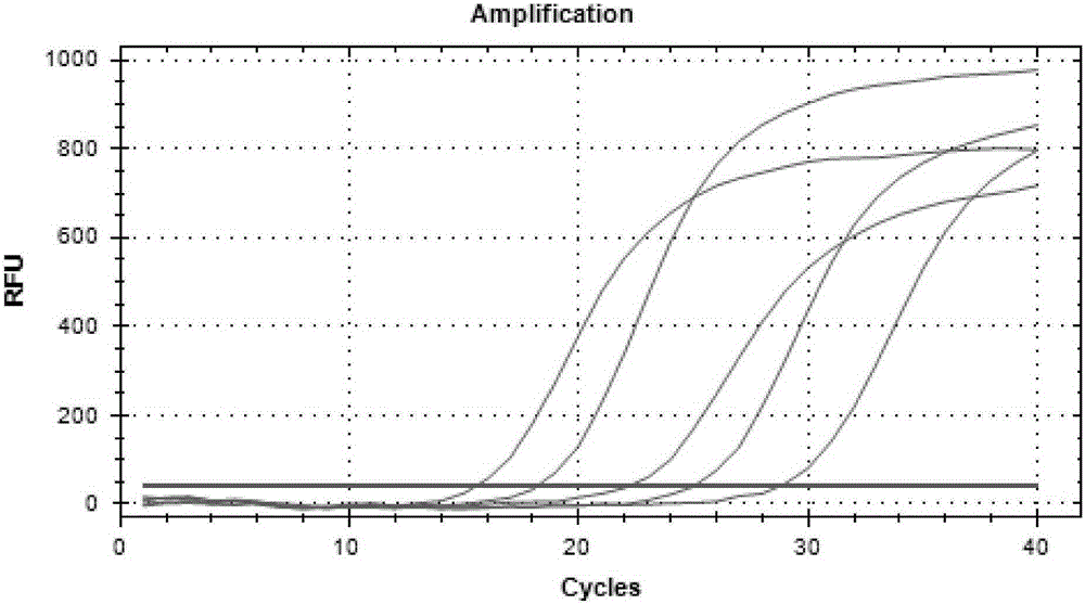 Zinc-copper superoxide dismutase SOD1 expression amount molecular detection method and primer