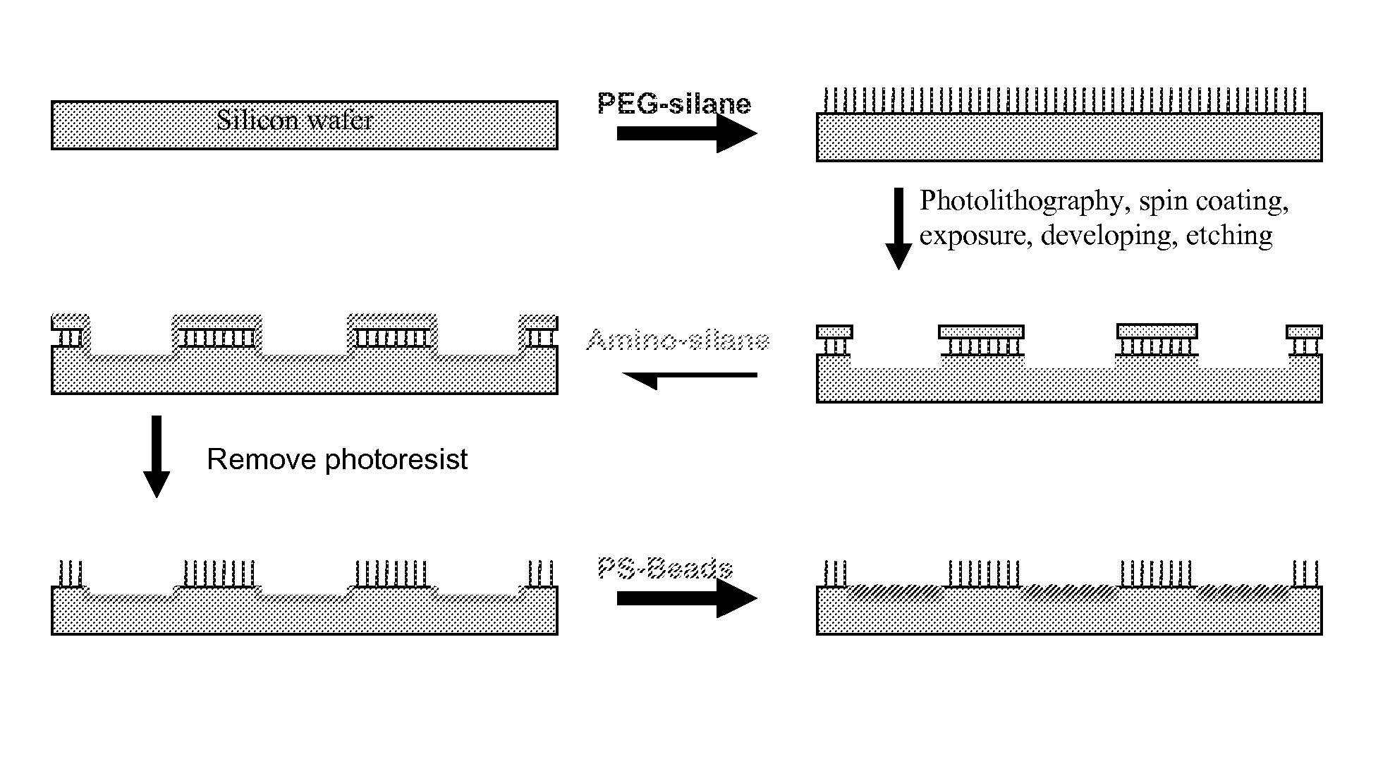 Signal amplified biological detection with conjugated polymers