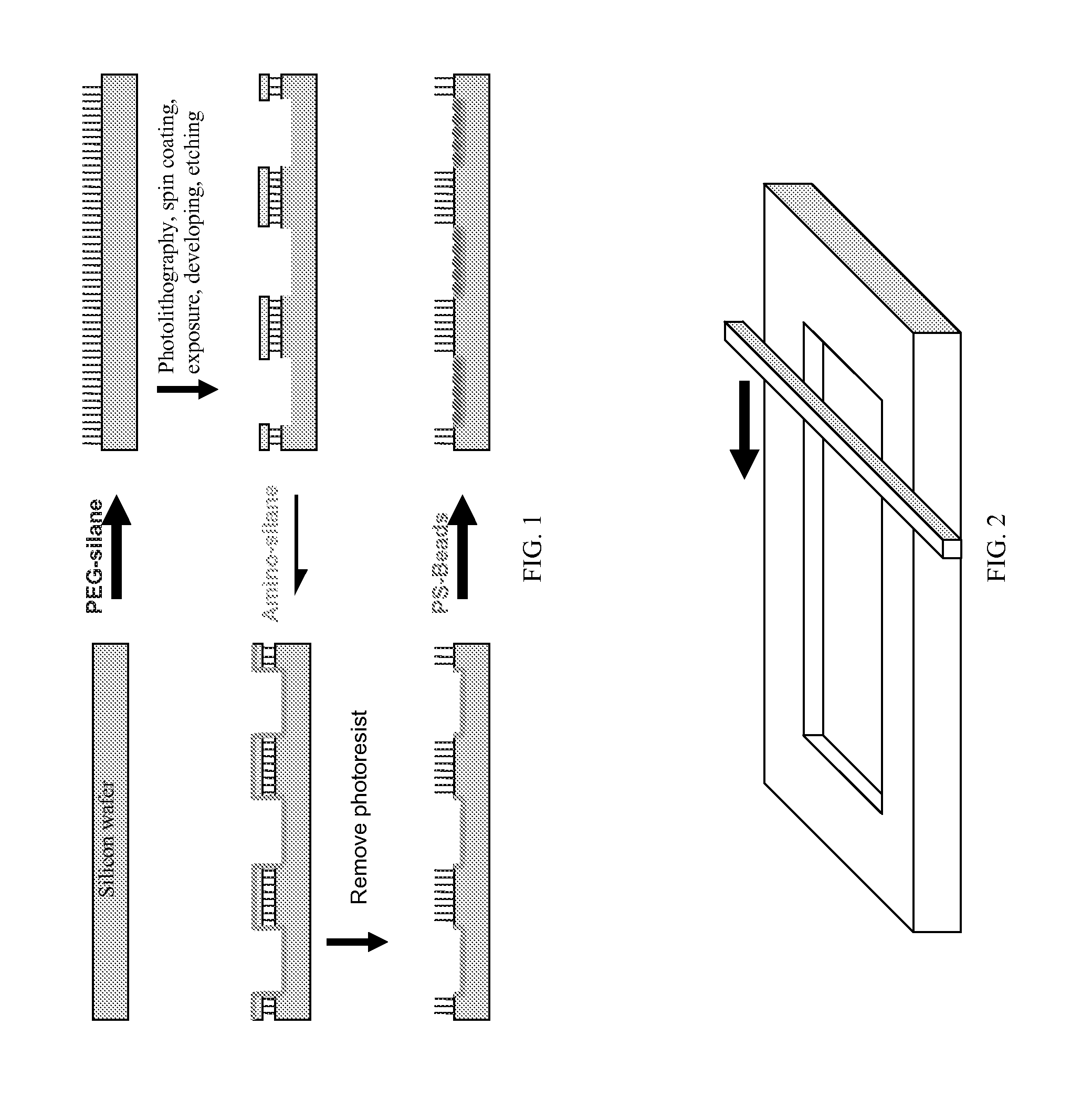 Signal amplified biological detection with conjugated polymers