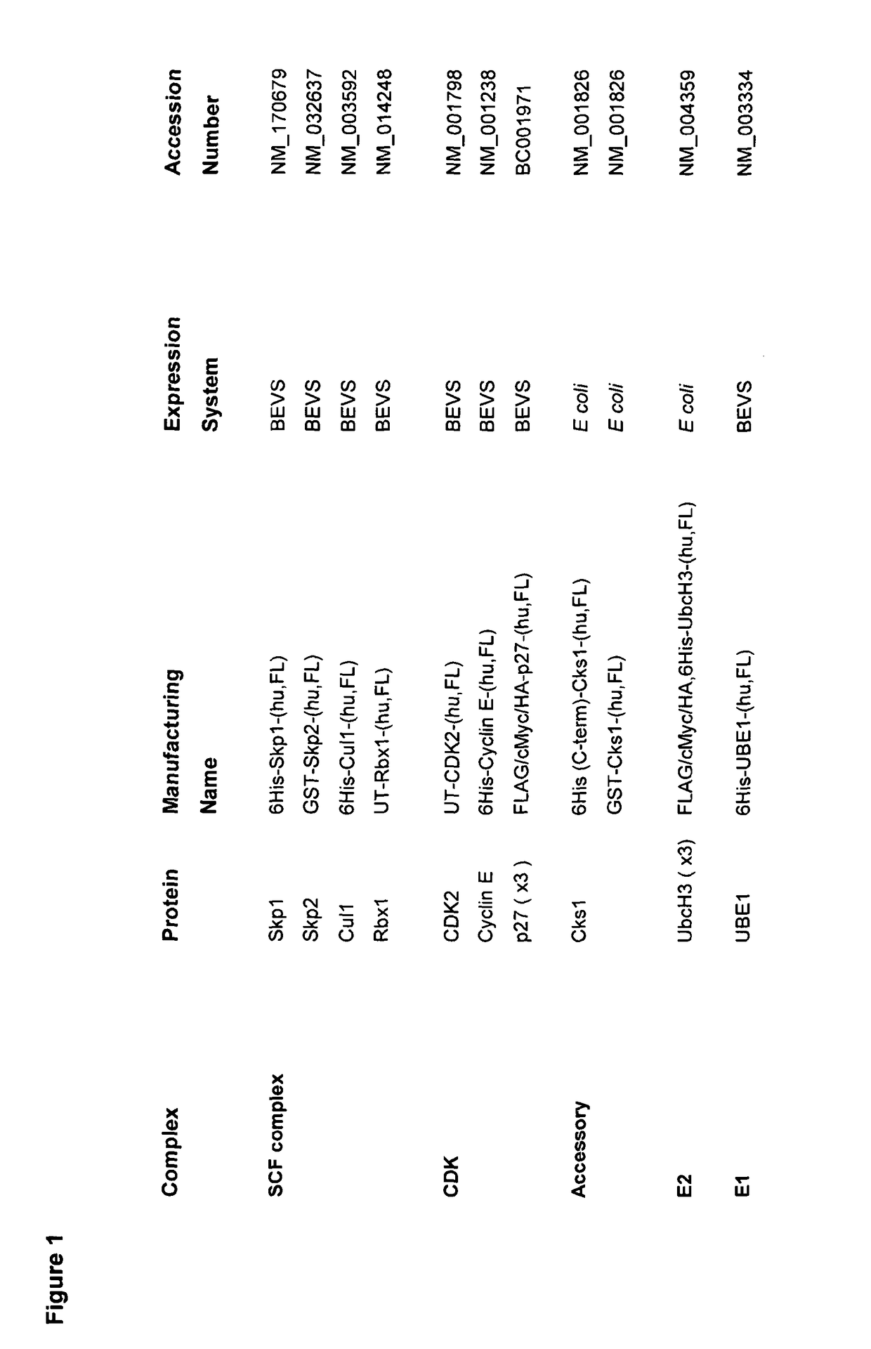 Ubiquitination assay