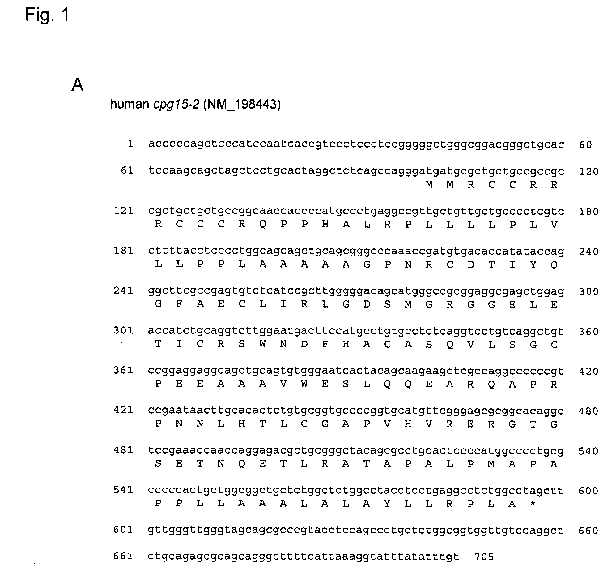 Methods and compositions for CPG15-2