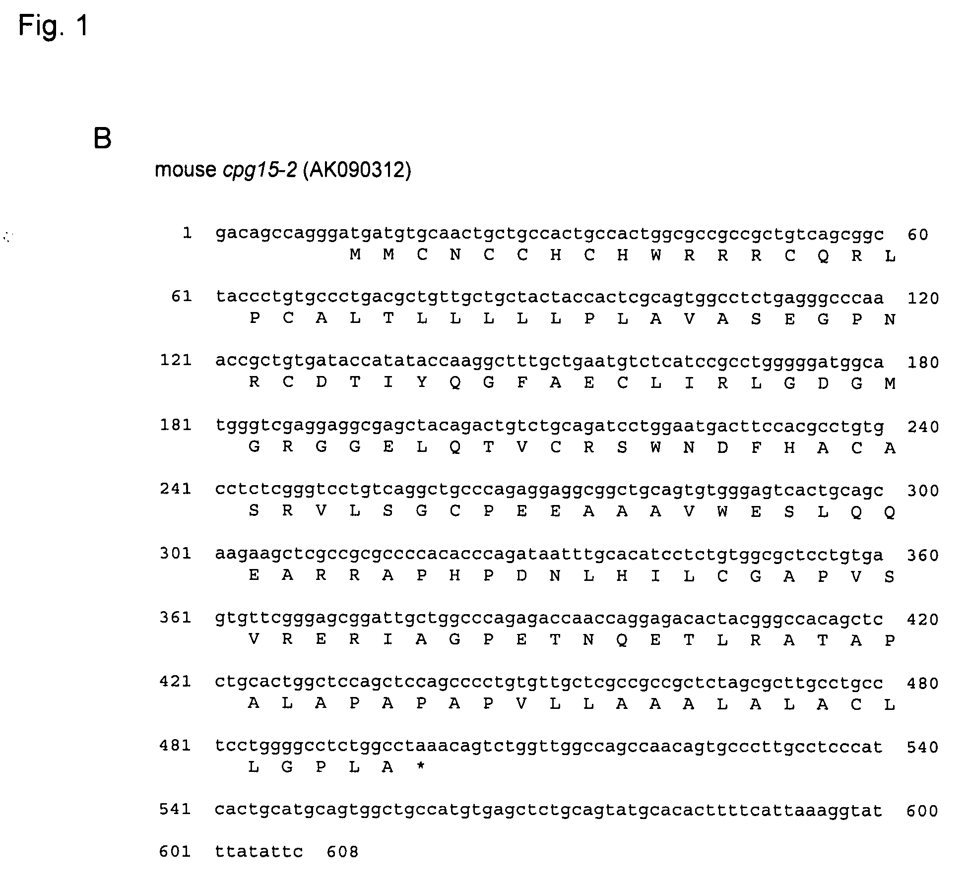 Methods and compositions for CPG15-2