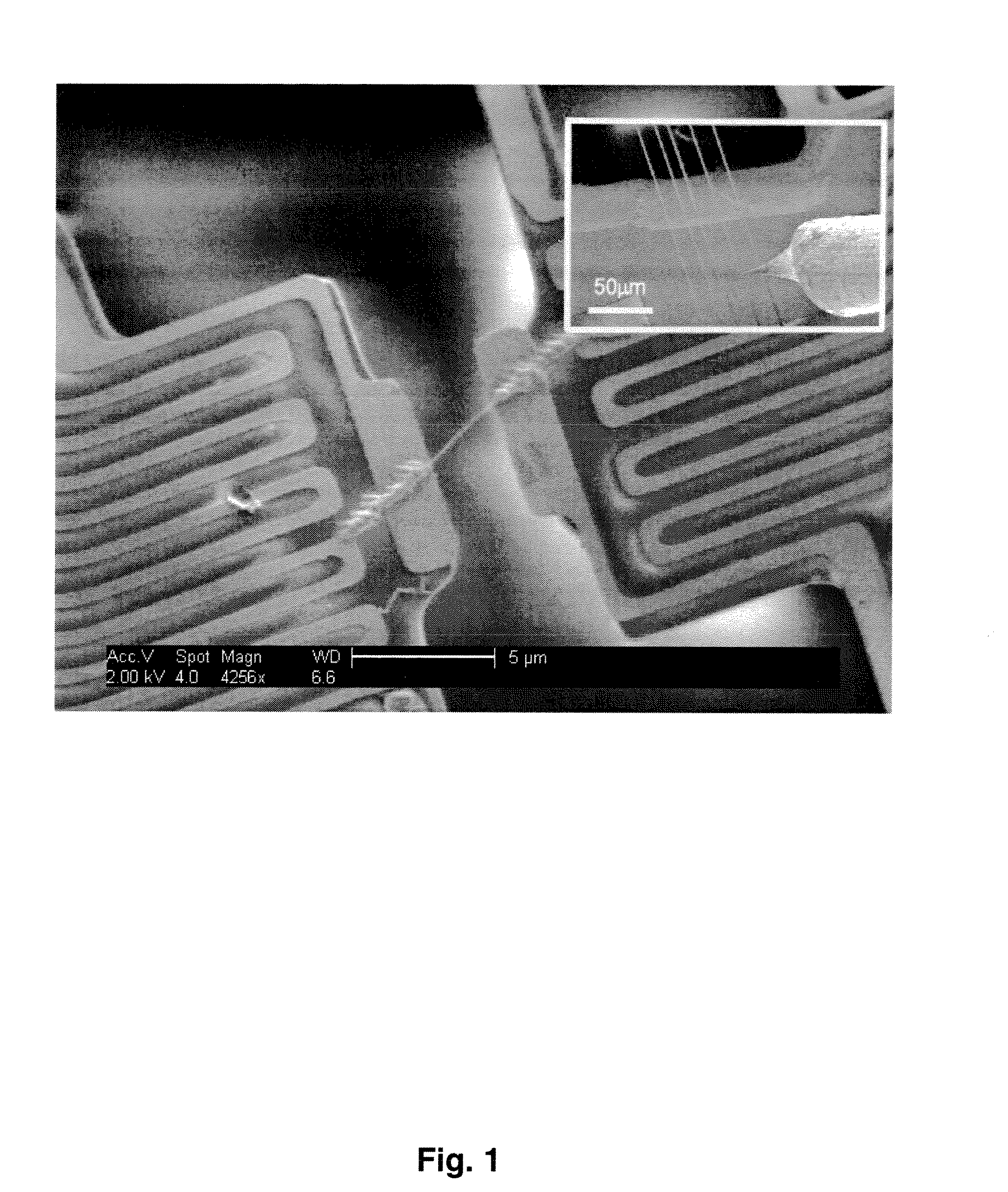 Nanotube phonon waveguide