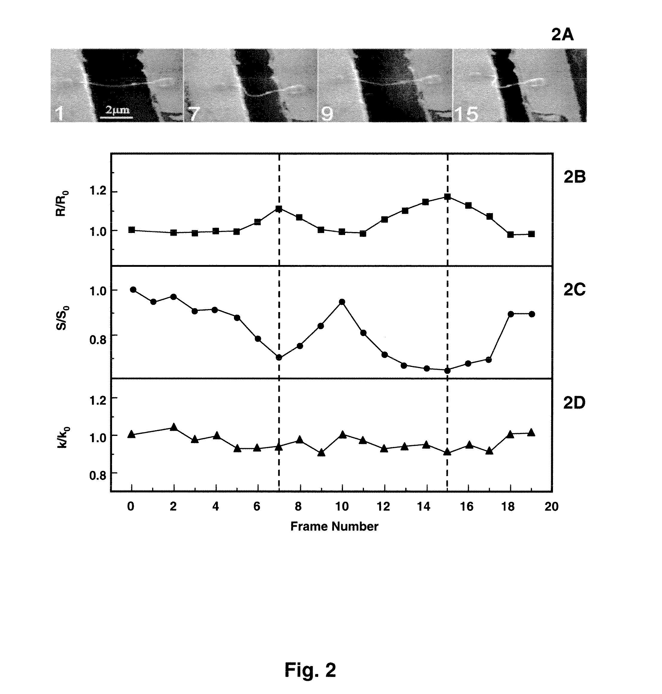 Nanotube phonon waveguide