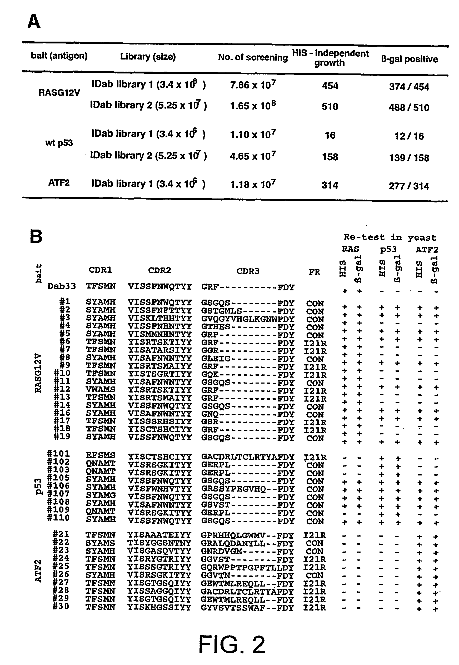 Intracellular antibodies