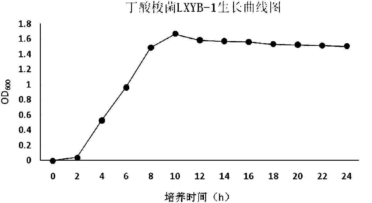 Clostridium butyricum agent with strong butyric acid resistance and stress resistance and application thereof