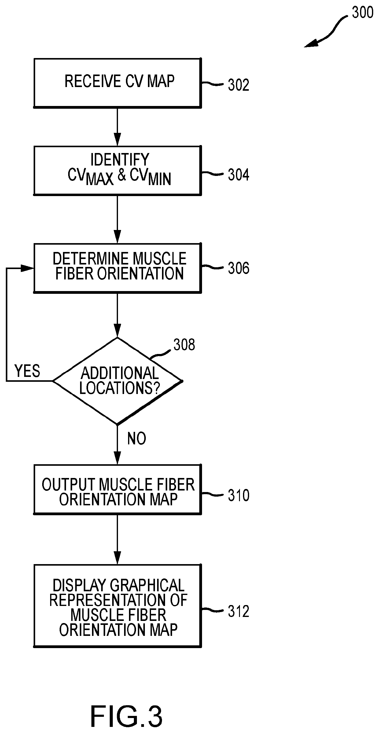 System and method for mapping cardiac muscle fiber orientation