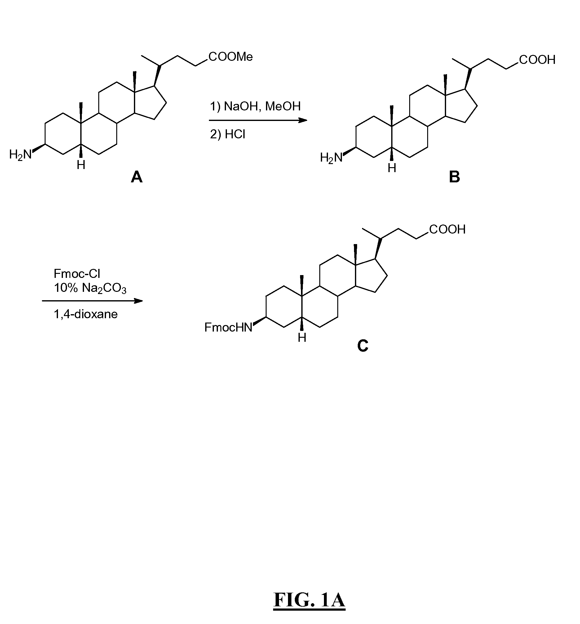 Gastrin Releasing Peptide Compounds