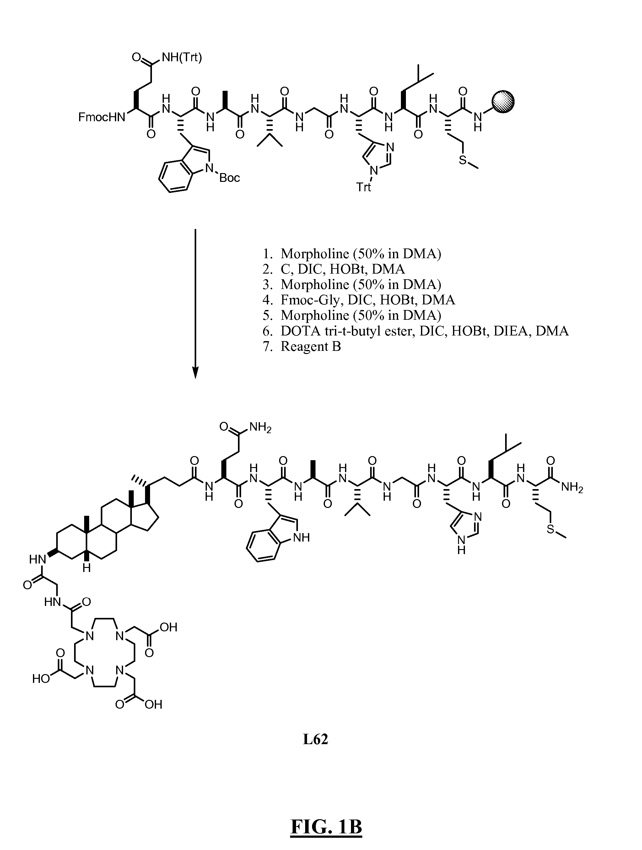 Gastrin Releasing Peptide Compounds