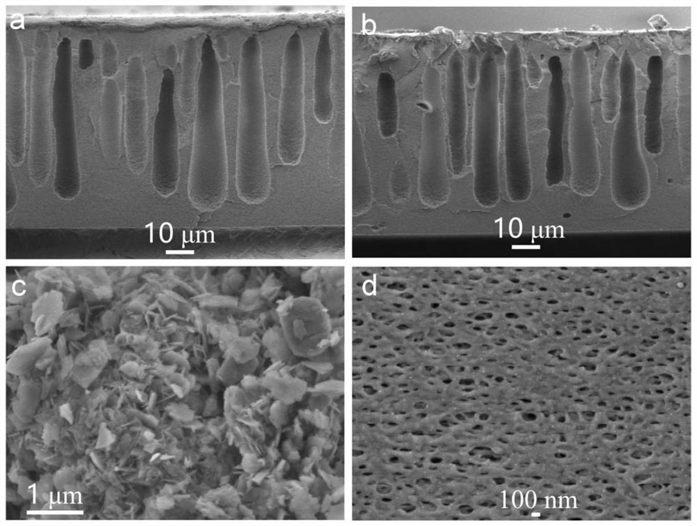 Organic framework copolymer supported porous ion conducting membrane as well as preparation and application of porous ion conducting membrane