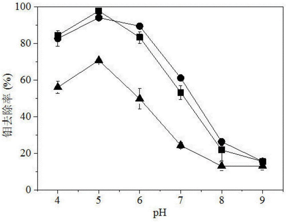 Preparation method of ferric salt solution