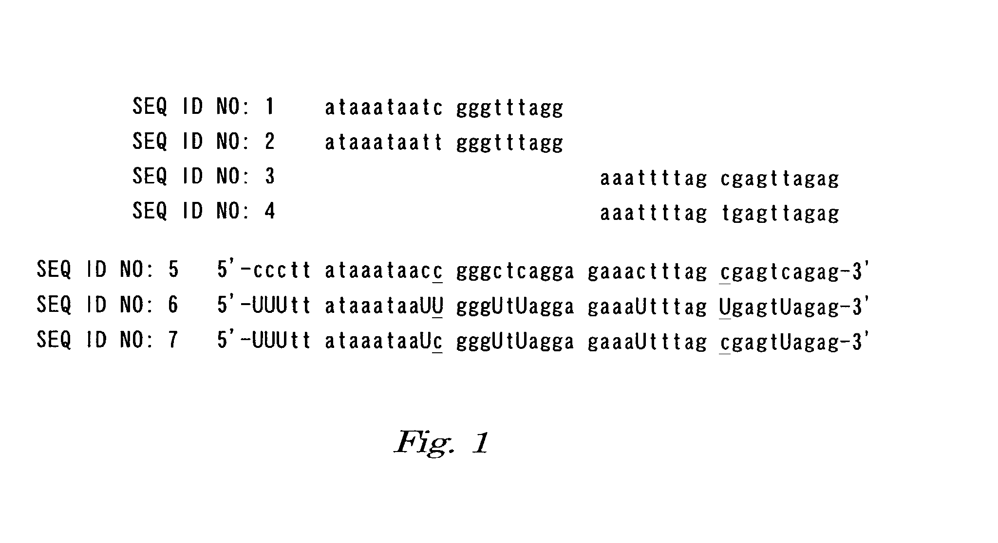 Oligonucleotide-immobilized substrate for detecting methylation