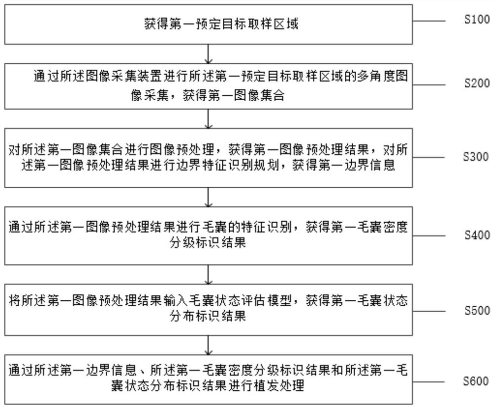 Image processing working method and system applied to hair transplanting