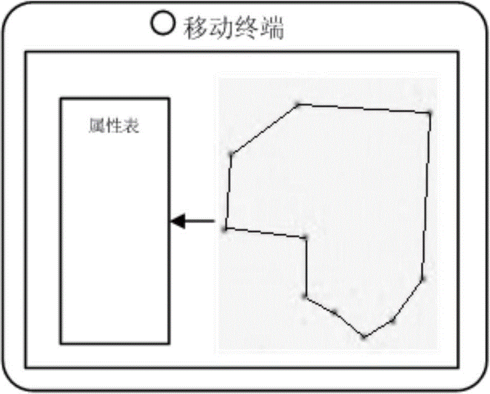 Rural collective land property right information investigation system and rural collective land property right information investigation method