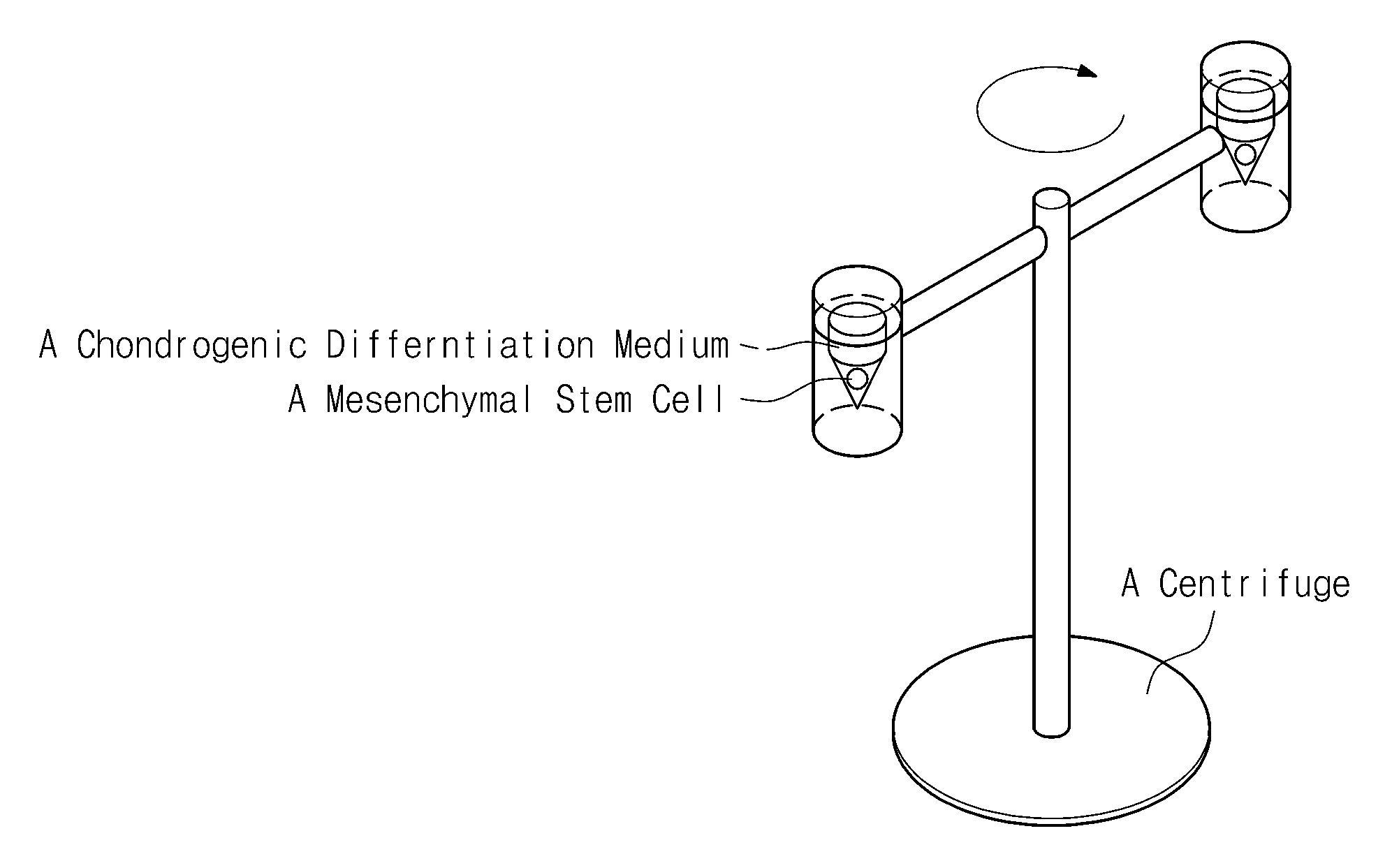 Method of chondrogenic differentiation from mesenchymal stem cell, and composition comprising chondrogenic cell differentiated using the method to treat disease caused by cartilage damage