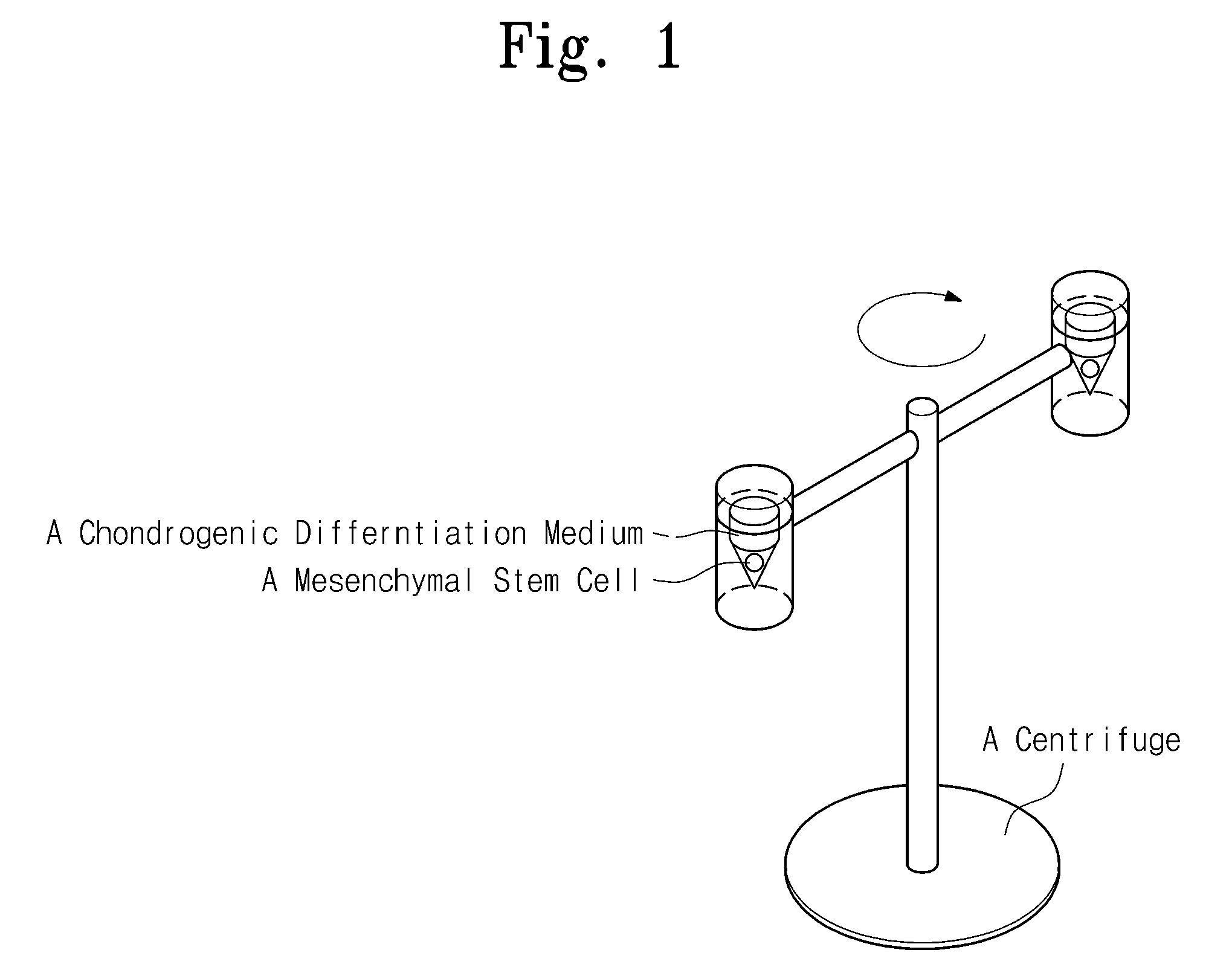 Method of chondrogenic differentiation from mesenchymal stem cell, and composition comprising chondrogenic cell differentiated using the method to treat disease caused by cartilage damage