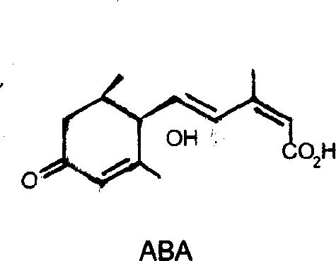 New use of natural abscisic acid i preparing tumour cell