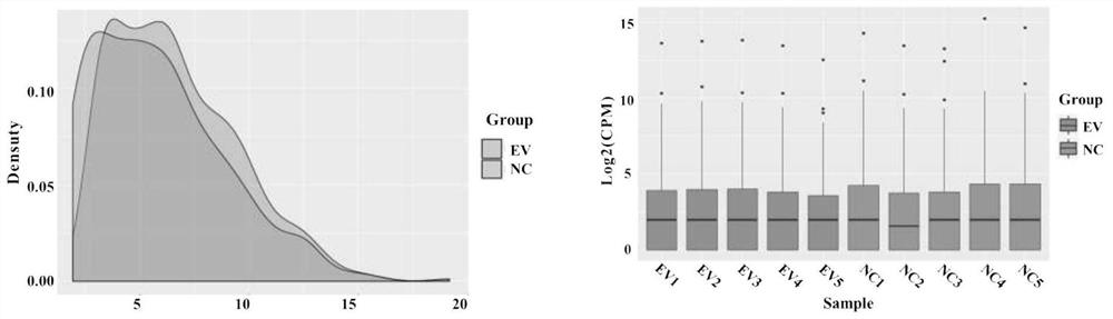 Molecular markers for auxiliary diagnosis of viral meningitis and their applications and kits