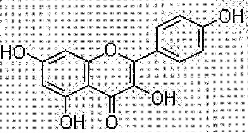 Method for extracting kaempferol