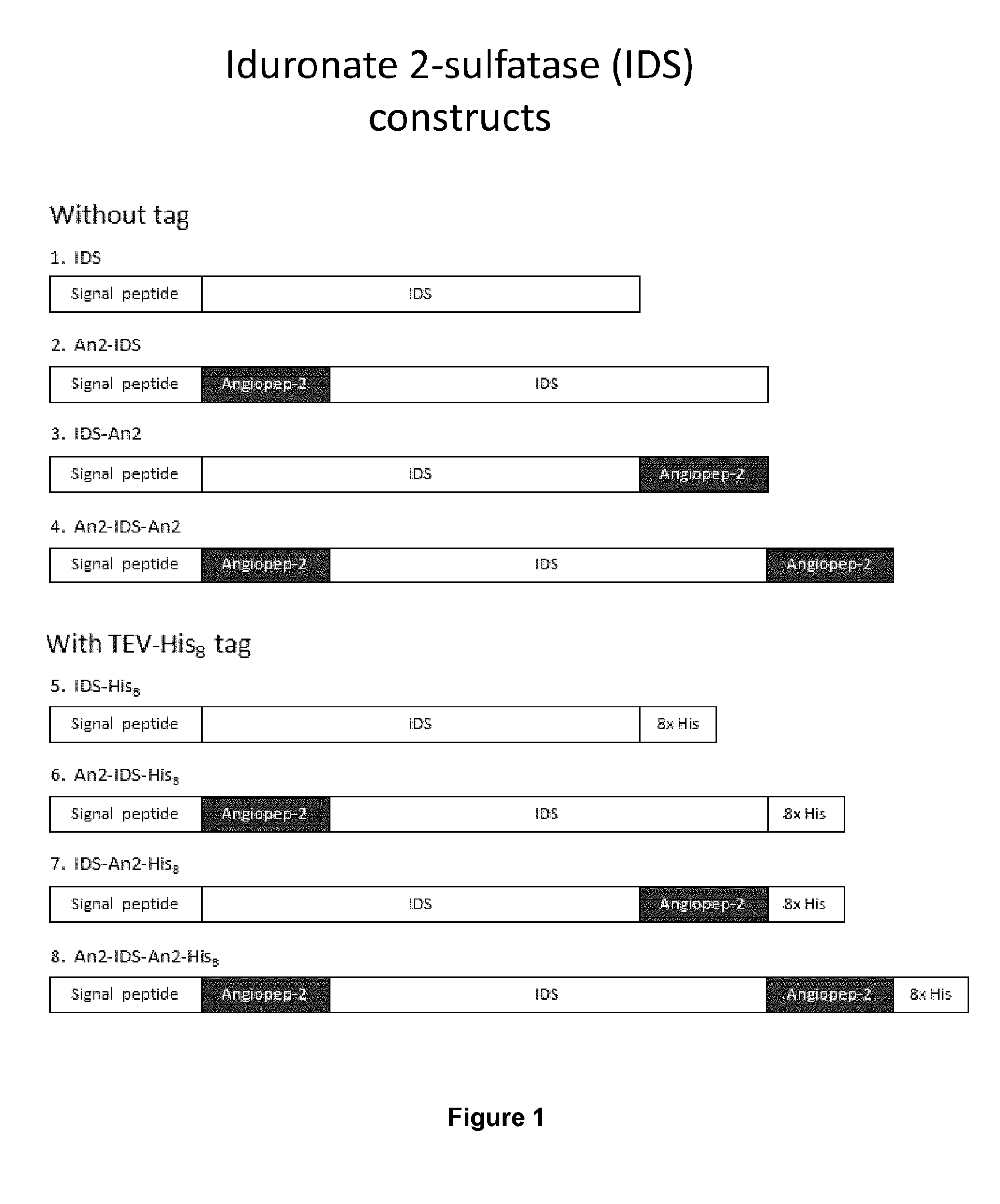 Targeted lysosomal enzyme compounds