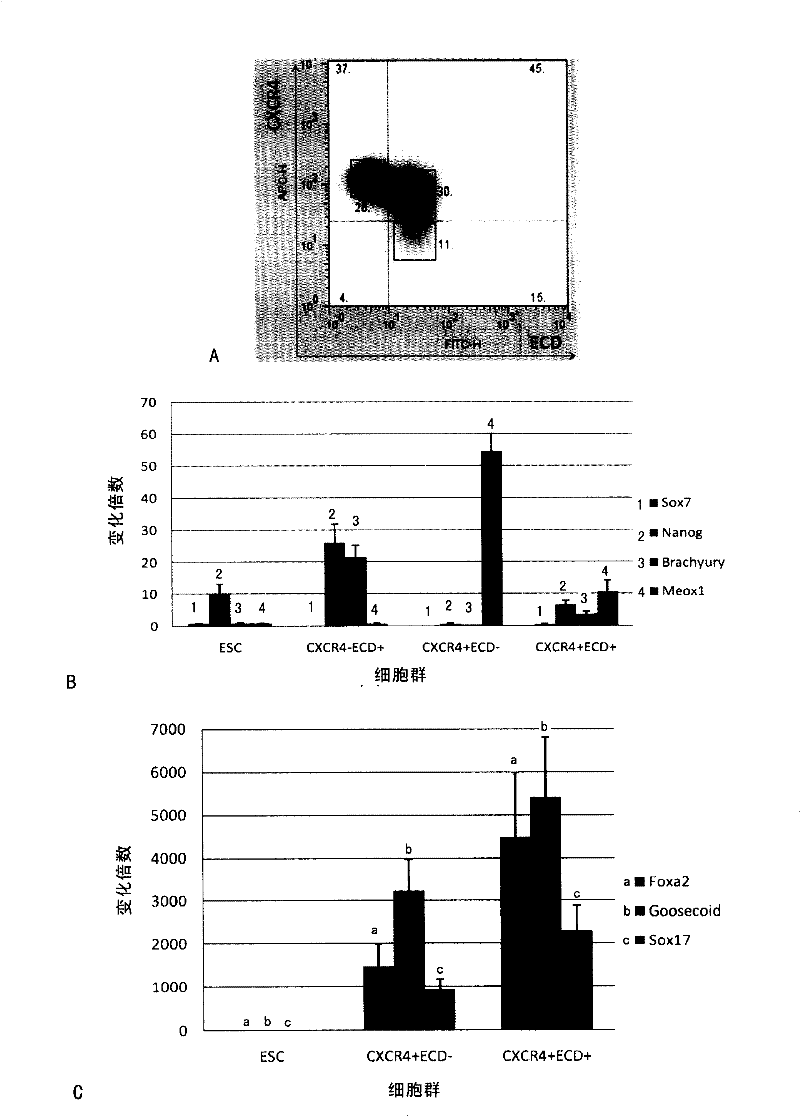 Method for preparing and separating stereotyped endoderm cells by using monolayer culture technology