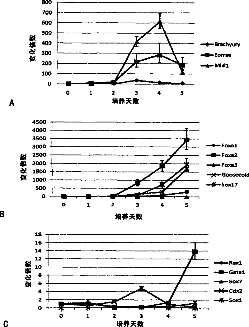 Method for preparing and separating stereotyped endoderm cells by using monolayer culture technology