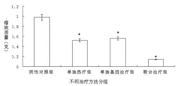 Composite magnetic nanoparticles for targeted therapy of liver cancer and preparation method thereof