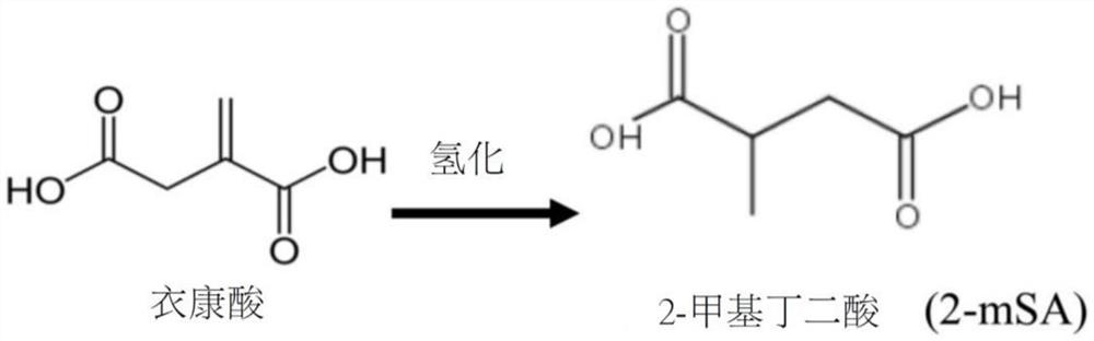 High-reverse-shift elastic biomass water-based PU (Polyurethane) resin and formula development technology