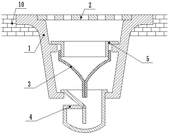 Anti-backflow water filter for drainpipe