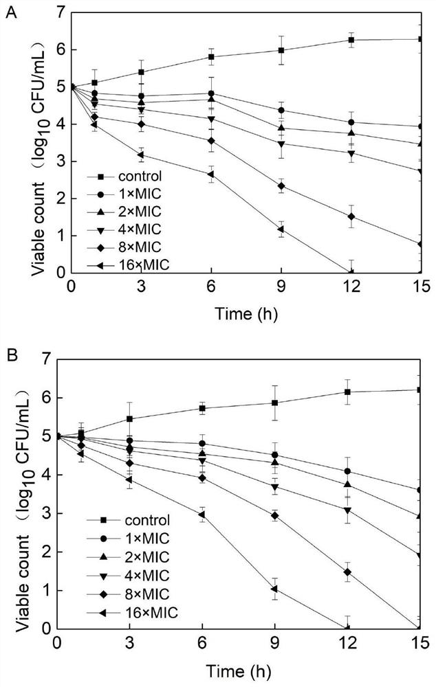 Application of Antimicrobial Peptides in Drugs Against Mycobacterial Infection