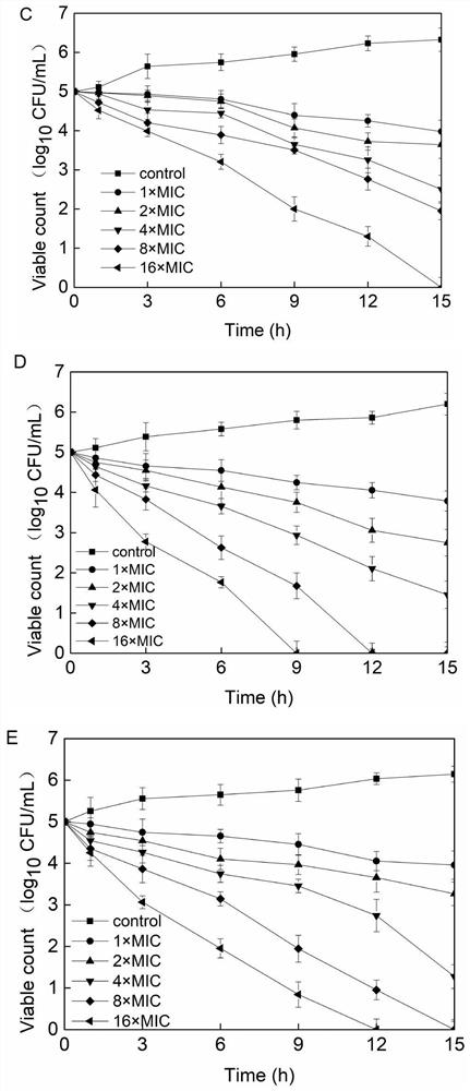 Application of Antimicrobial Peptides in Drugs Against Mycobacterial Infection